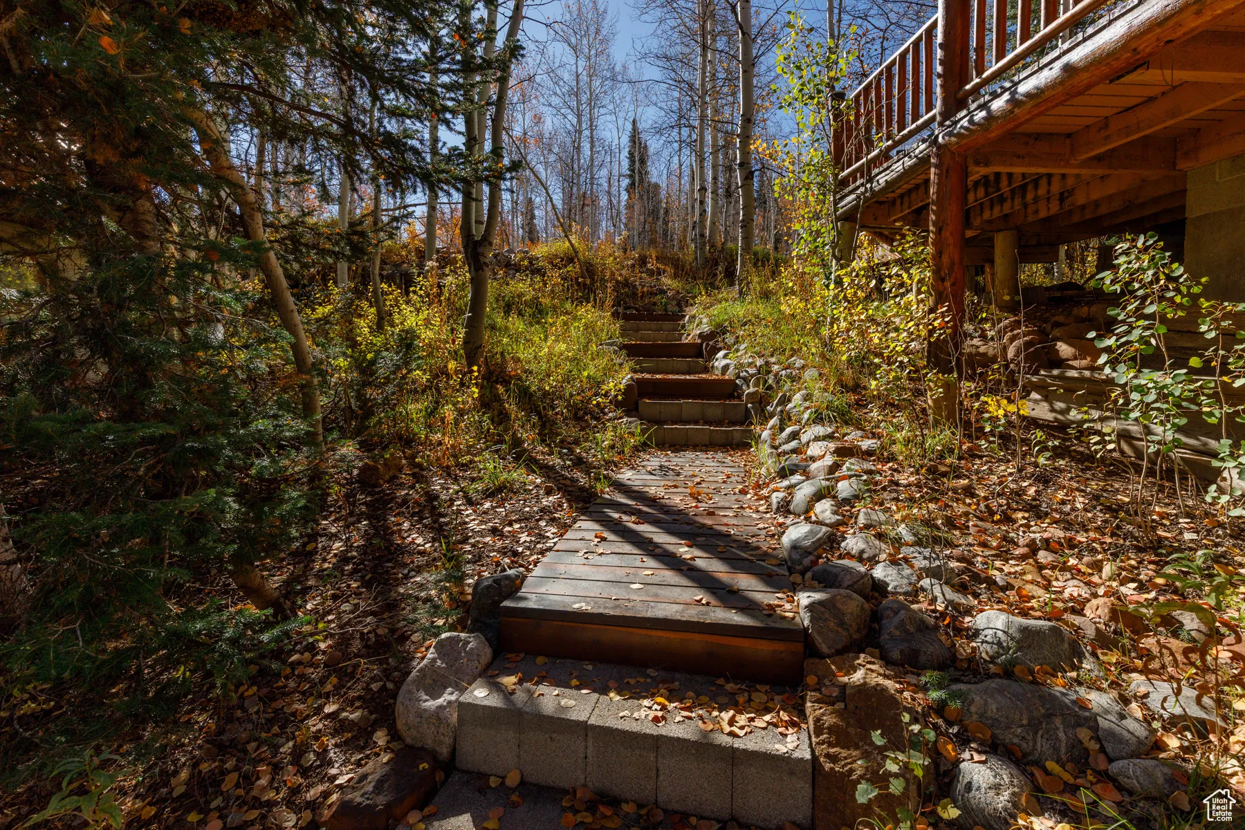 View of yard with a deck and a wooded view