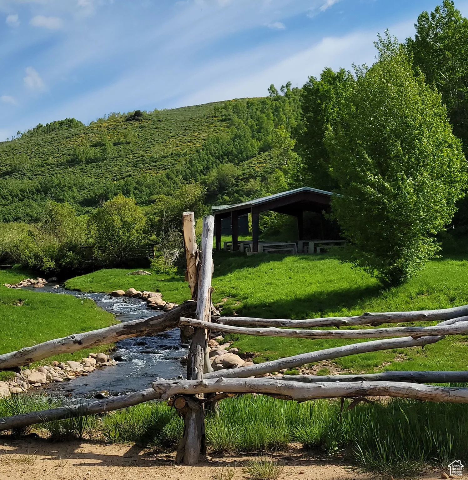View of yard featuring a wooded view