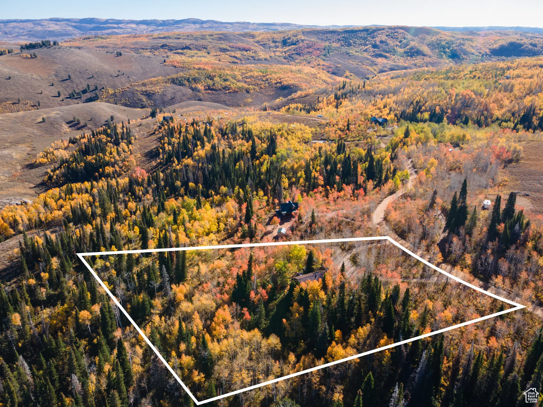 Aerial view of property and surrounding area with property parcel outlined and a forest