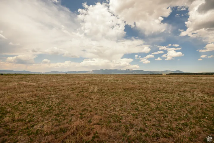 View of grassy yard featuring a rural view and a mountain view