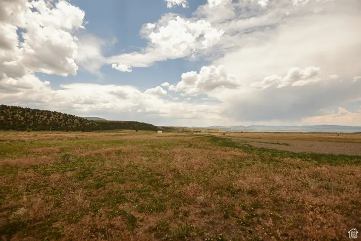 View of yard featuring a view of rural / pastoral area
