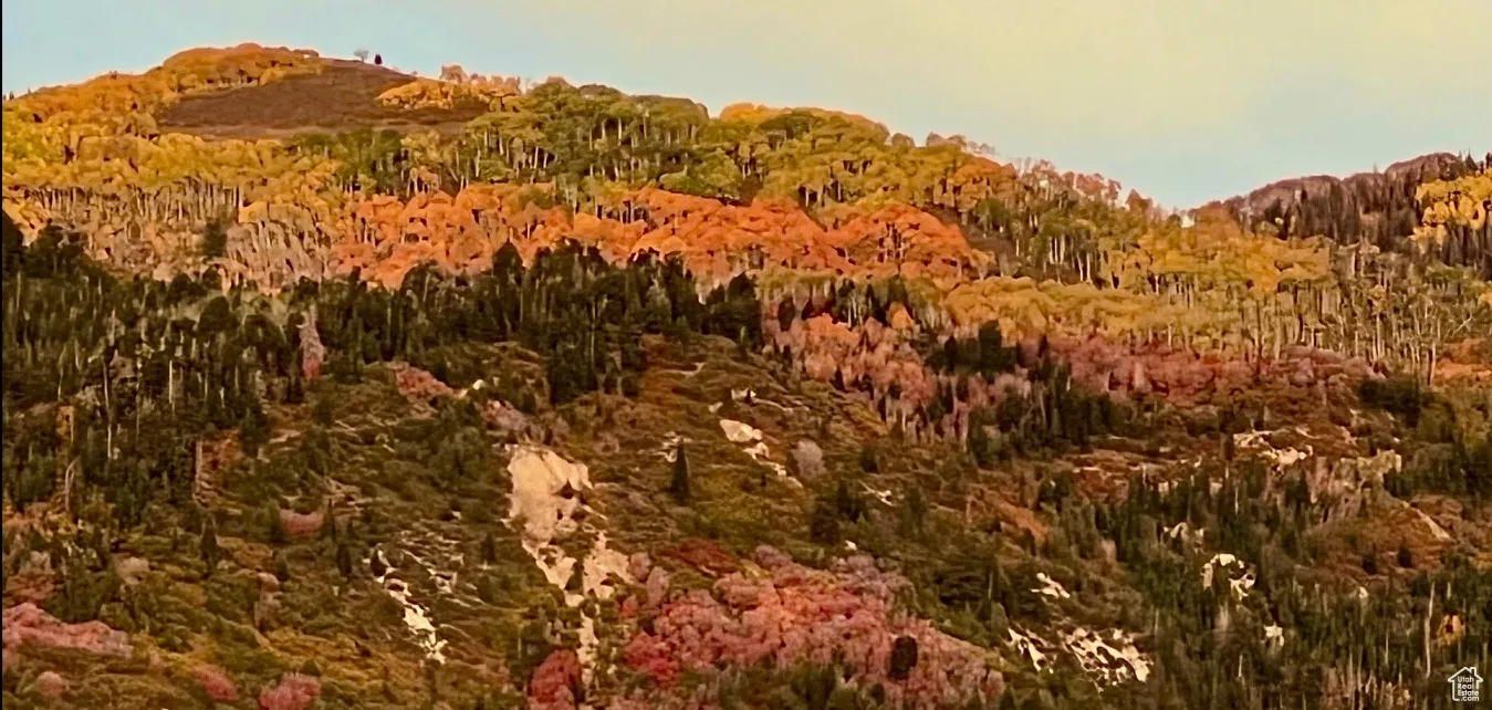 View of mountain backdrop featuring a forest