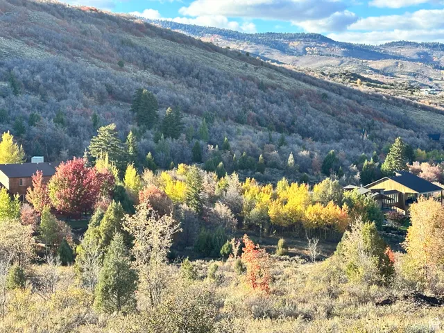 View of mountain background with a heavily wooded area