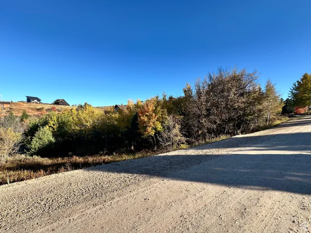 View of dirt / gravel road
