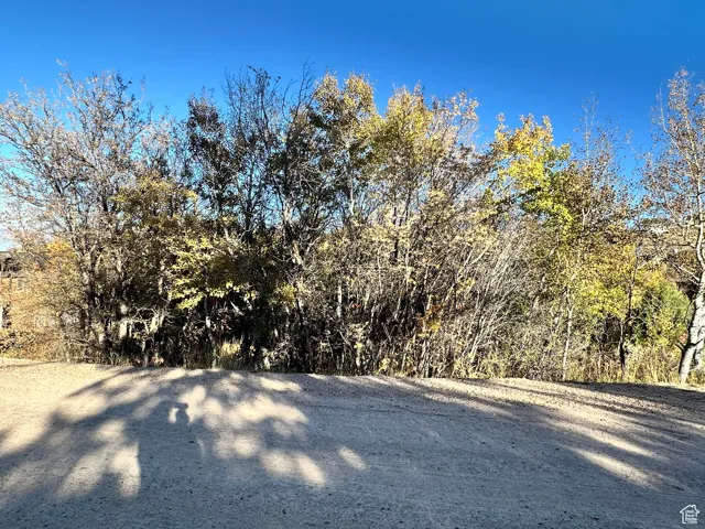 View of yard featuring a forest view