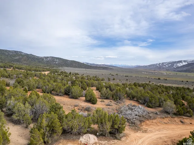 View of mountain background