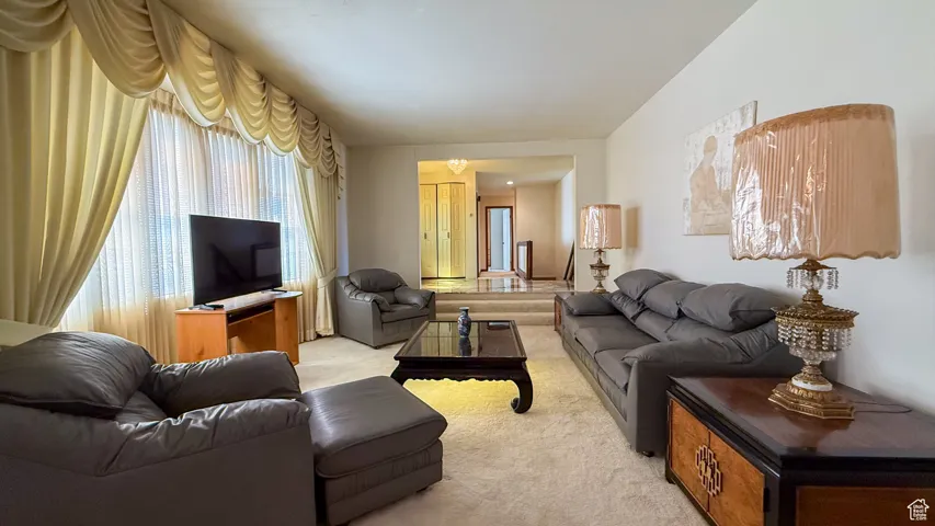Living room with carpet