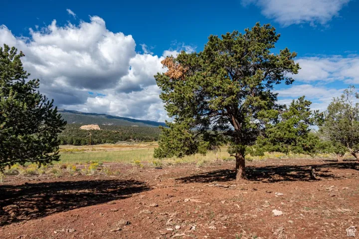251 W Highway 12 St, Grover, Utah 84773