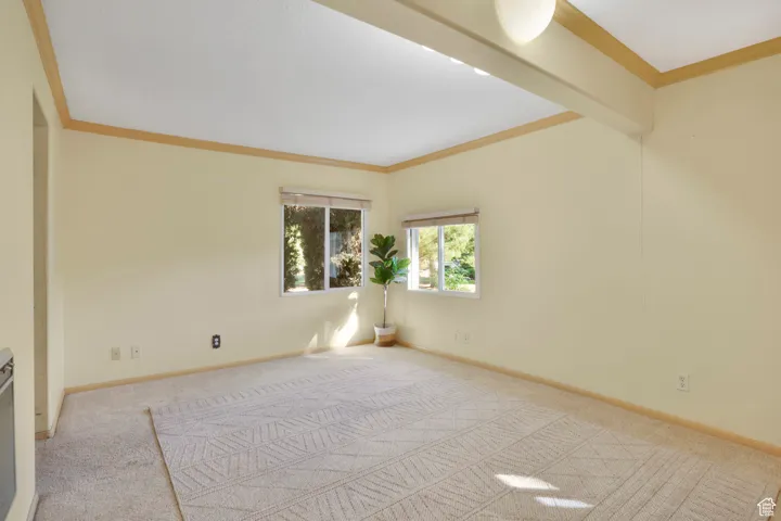 Unfurnished room featuring ornamental molding and carpet flooring