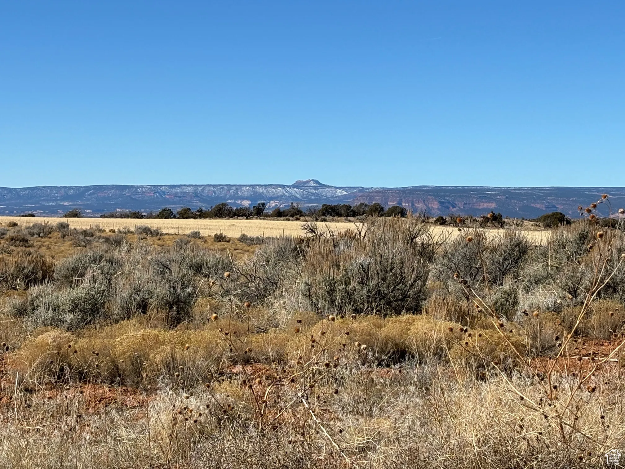 View of Bears Ears buttes.