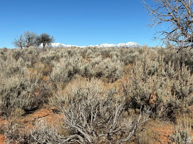 View of local wilderness with mountains
