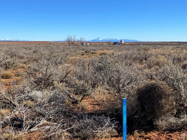 Sleeping Ute mountain to the east.