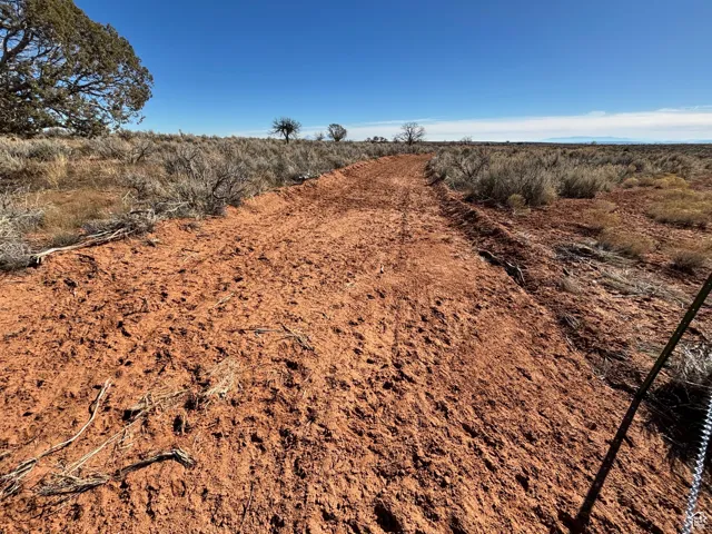 Road roughed in to potential home sites.