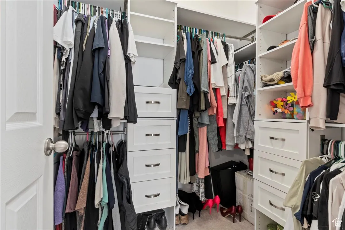 Spacious closet featuring carpet