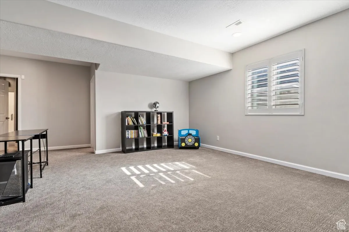 Recreation room with carpet flooring and a textured ceiling