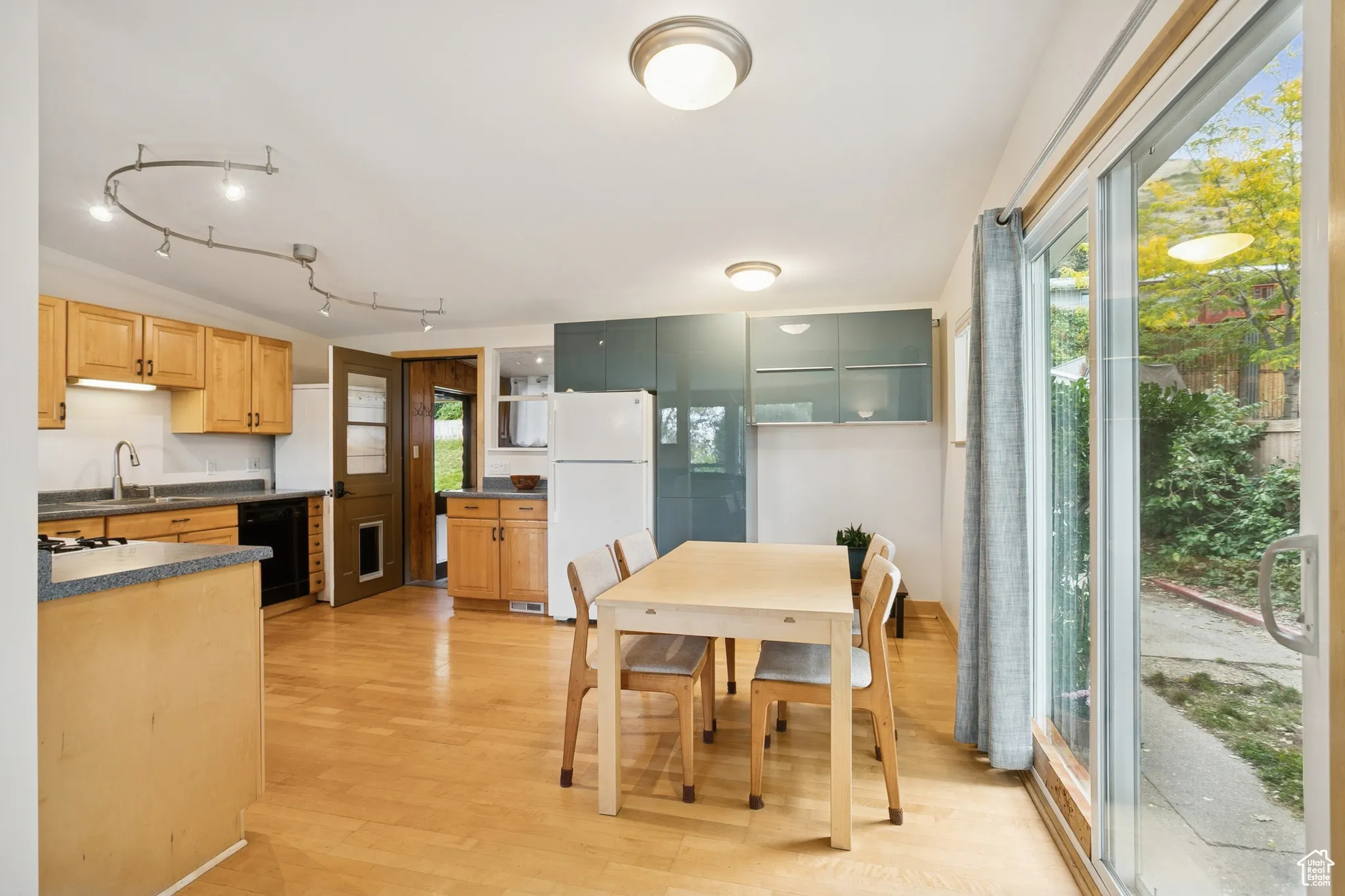 Kitchen featuring light wood-style flooring, freestanding refrigerator, dark countertops, black dishwasher, and rail lighting