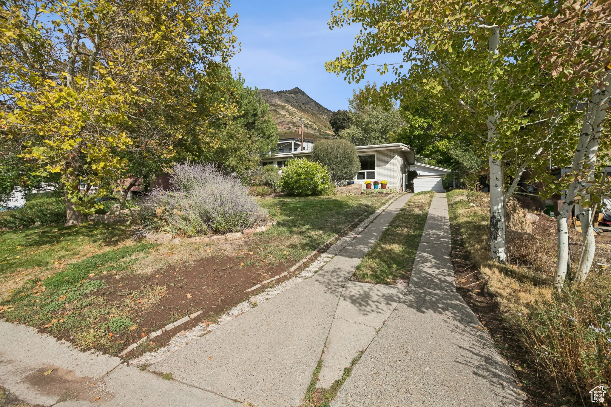 View of property hidden behind natural elements featuring concrete driveway, a garage, a front lawn, and a mountain view
