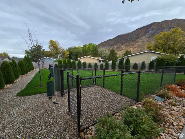 View of yard with a mountain view and a dog friendly area