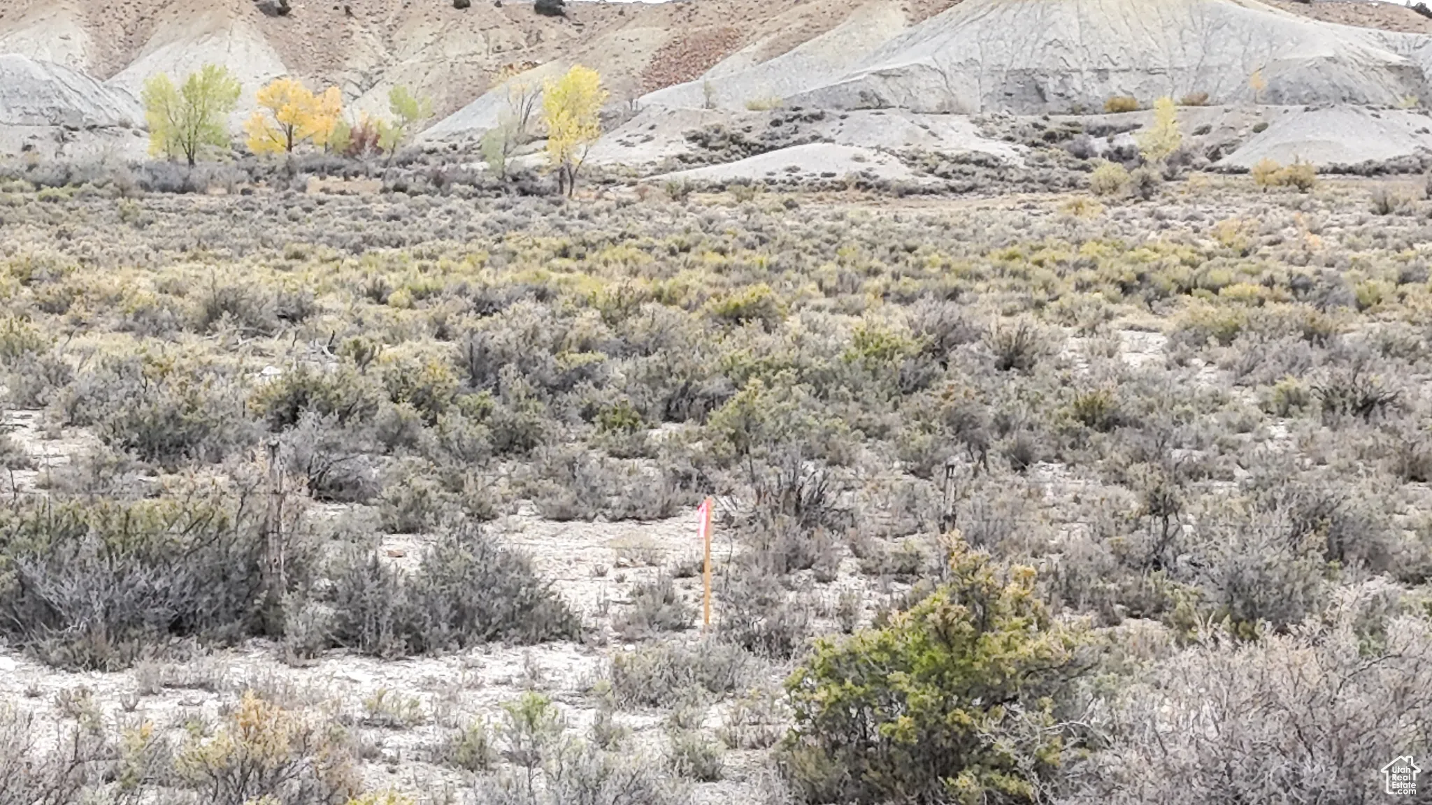View of nature with a mountainous background