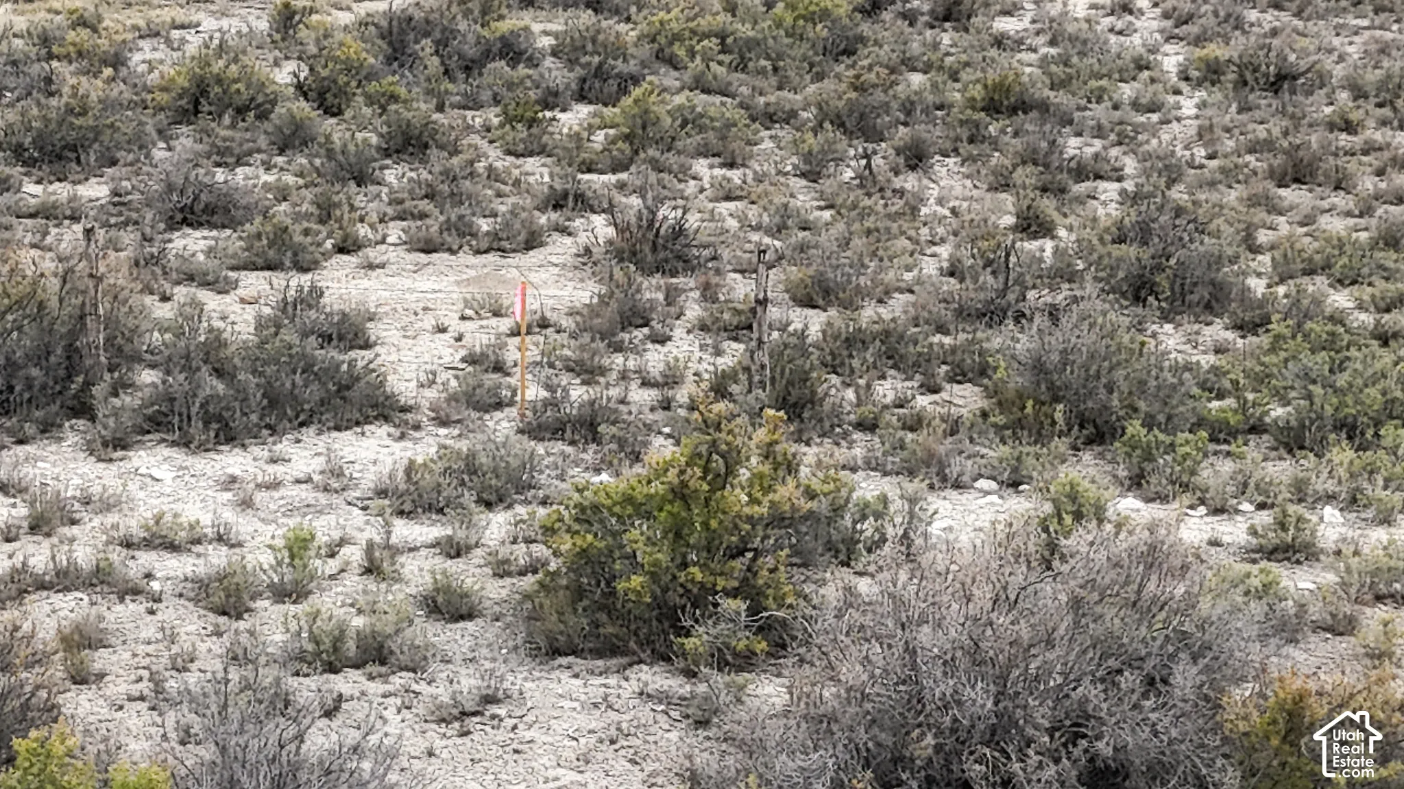 View of undeveloped land with a desert landscape