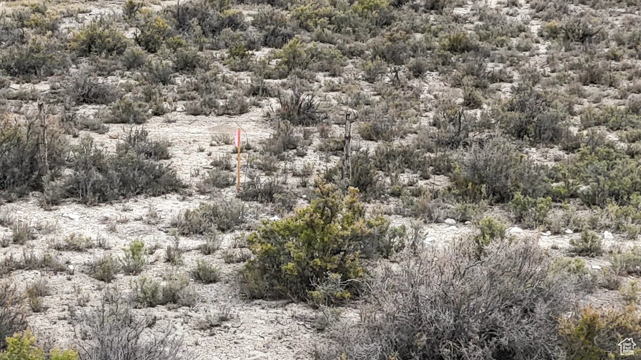 View of undeveloped land with a desert landscape