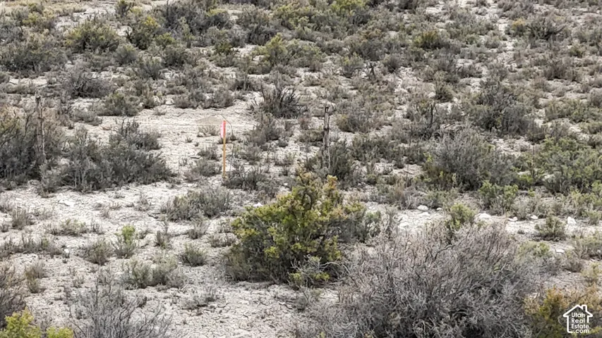 View of undeveloped land with a desert landscape