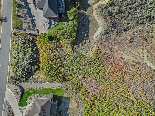 Aerial view of property's location