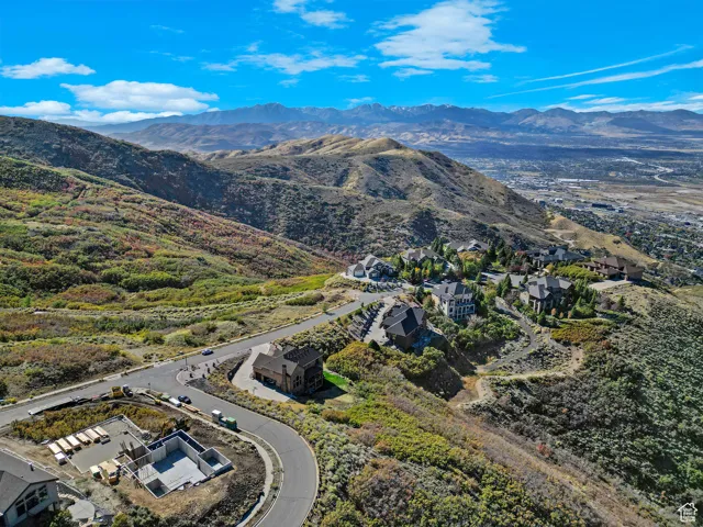 Bird's eye view of a mountain backdrop