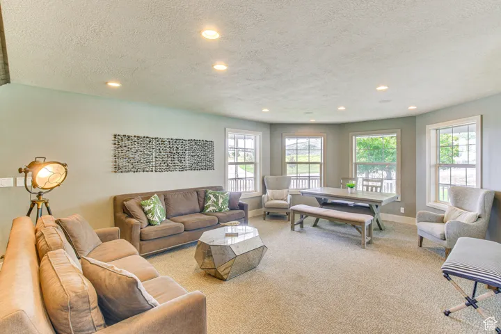 Carpeted living area with recessed lighting and a textured ceiling