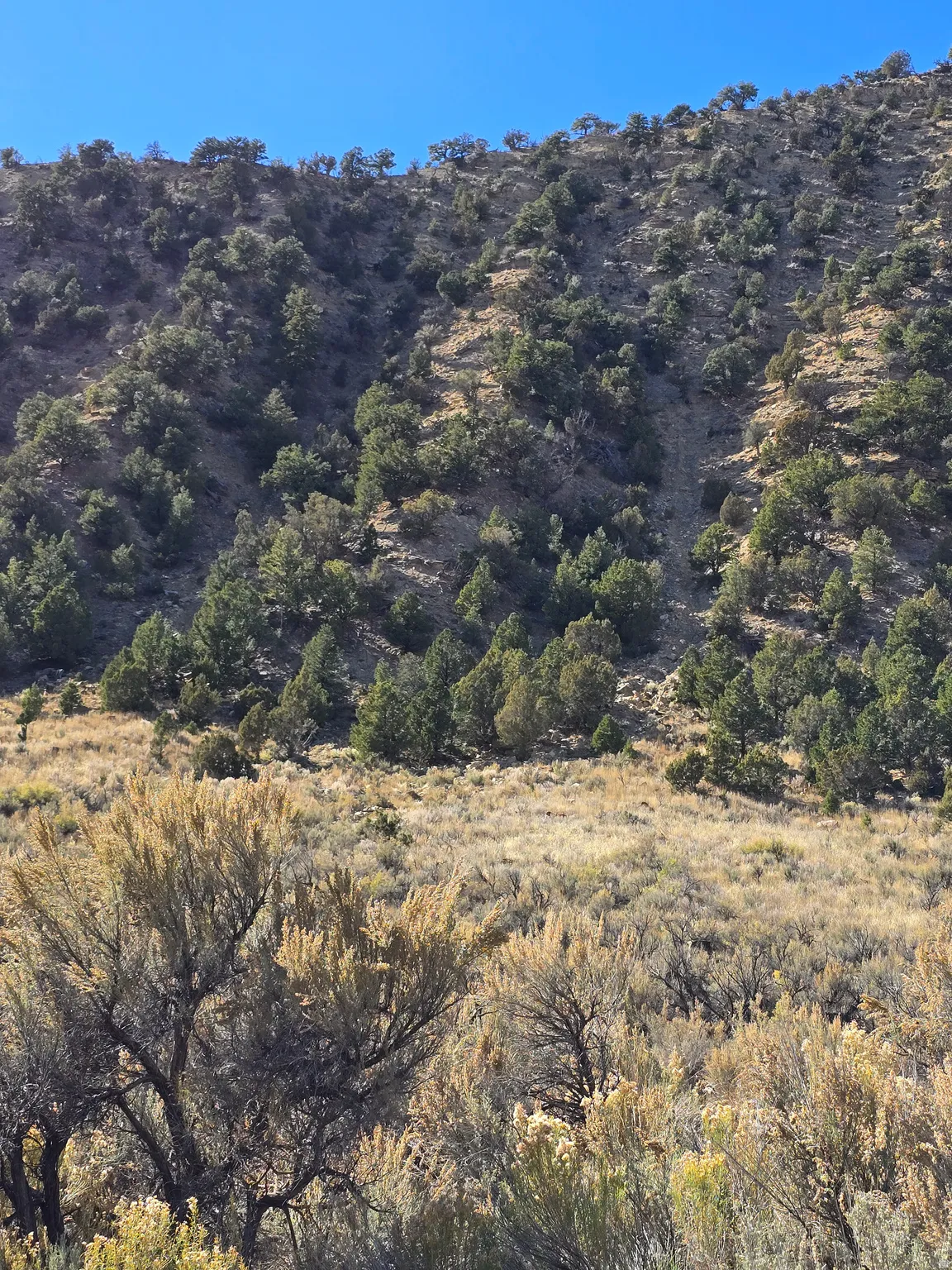 View of mountain background