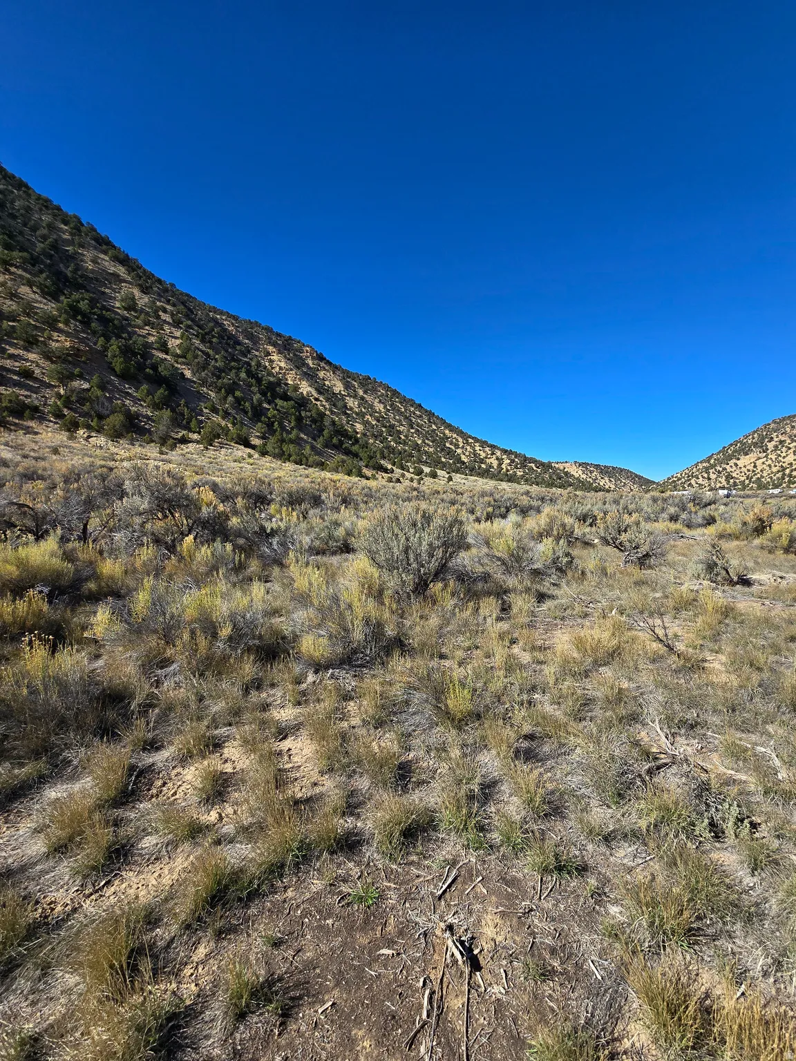 View of mountain background