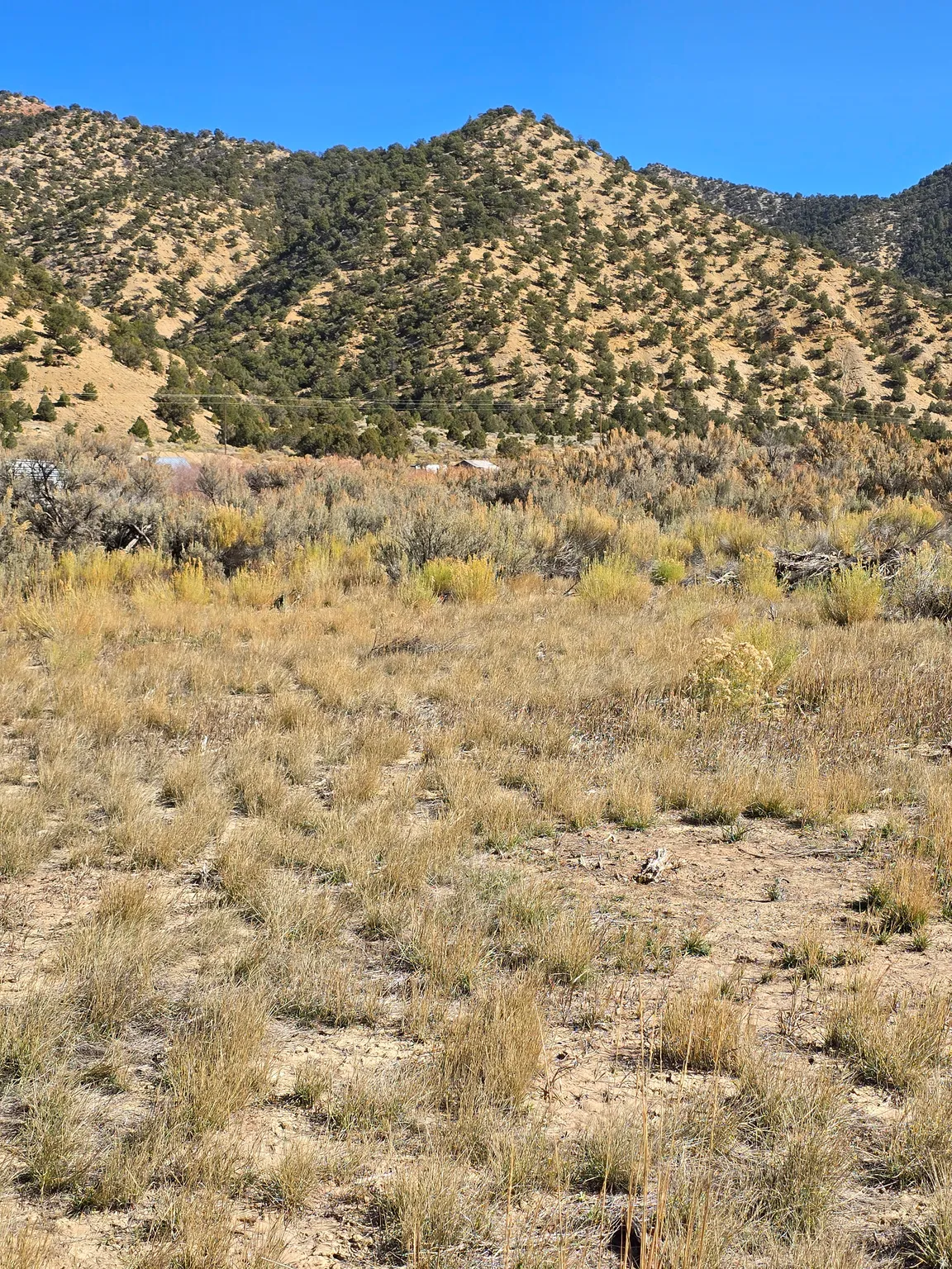 View of mountain background
