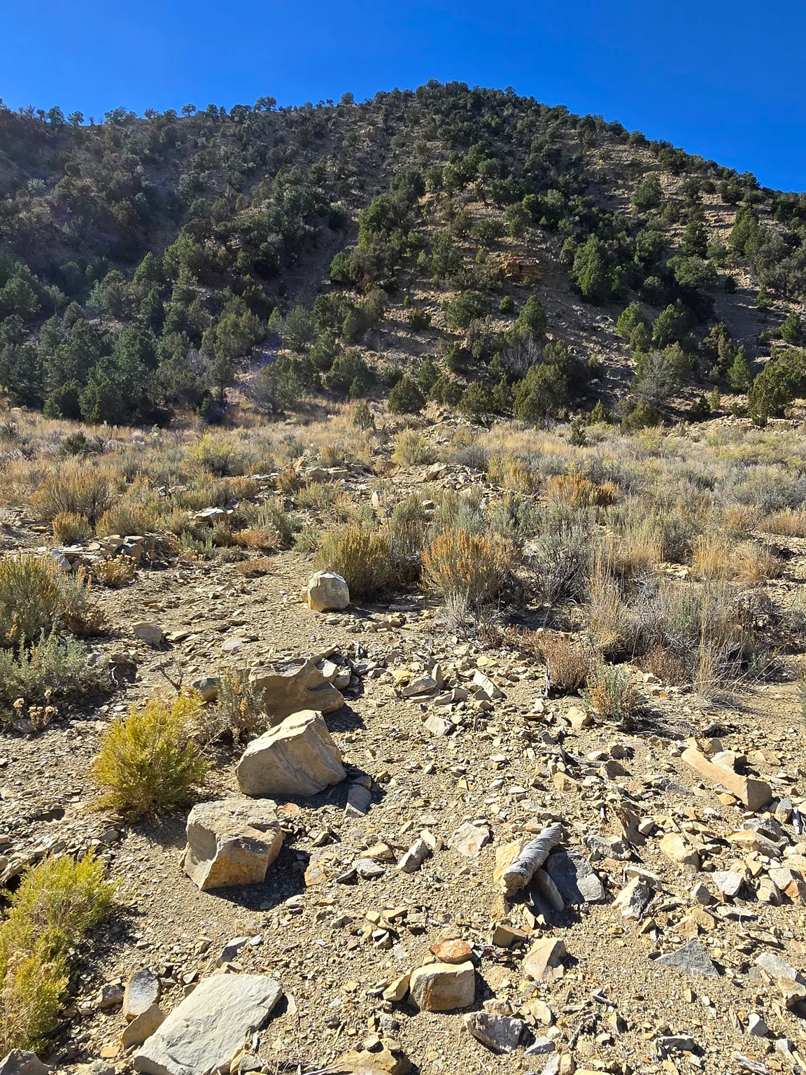 View of mountain background