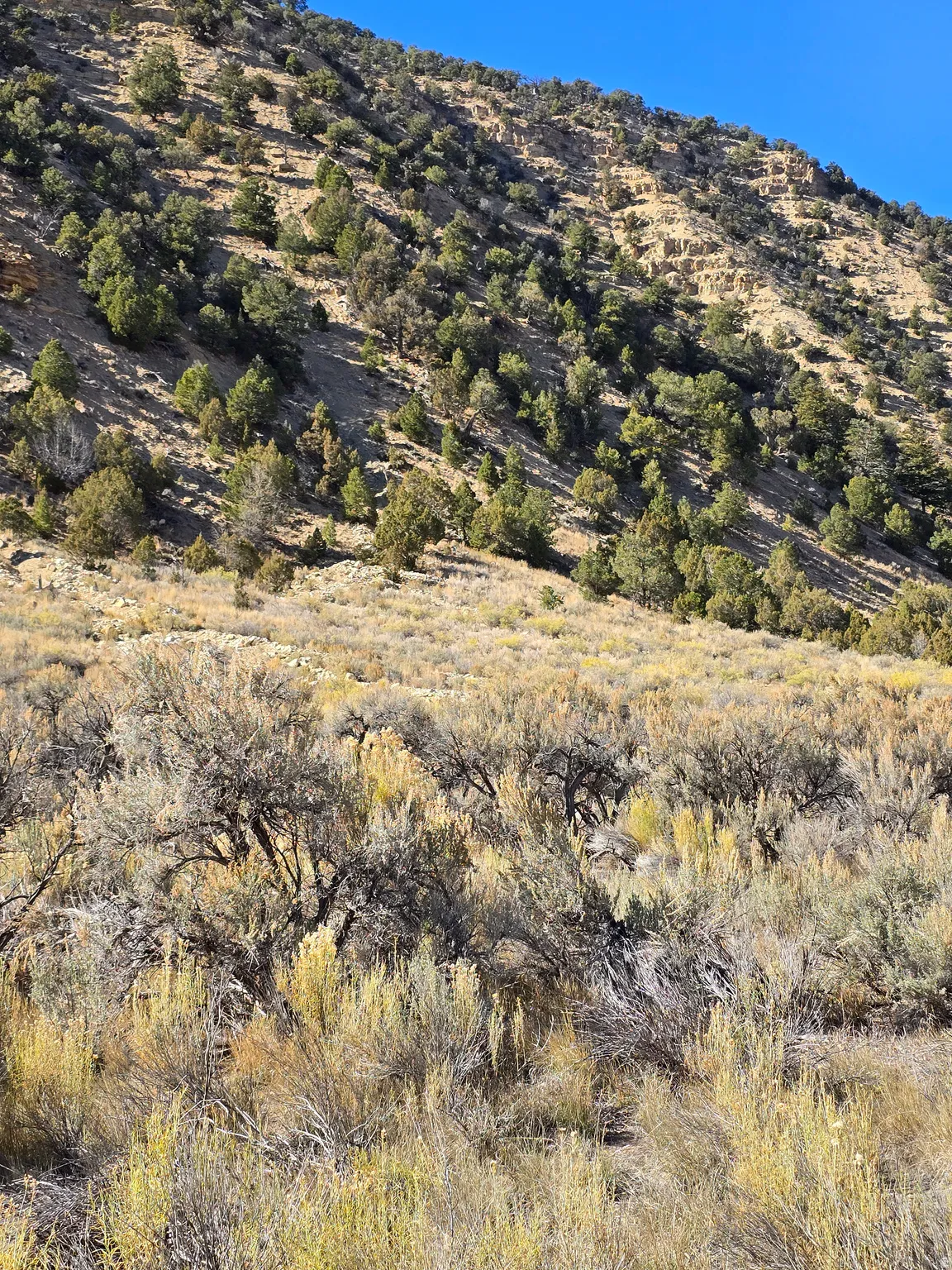 View of mountain background