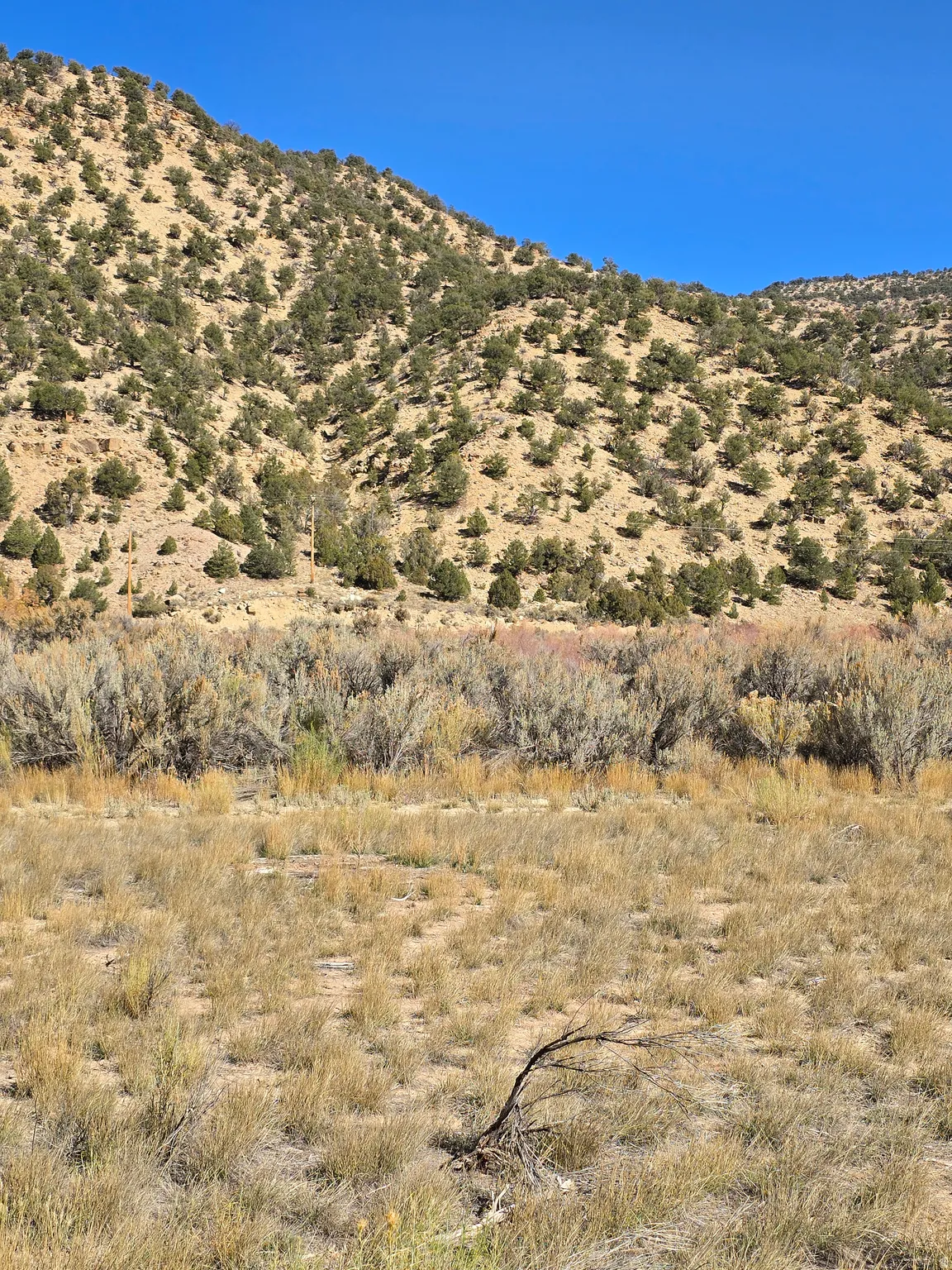 View of mountain background
