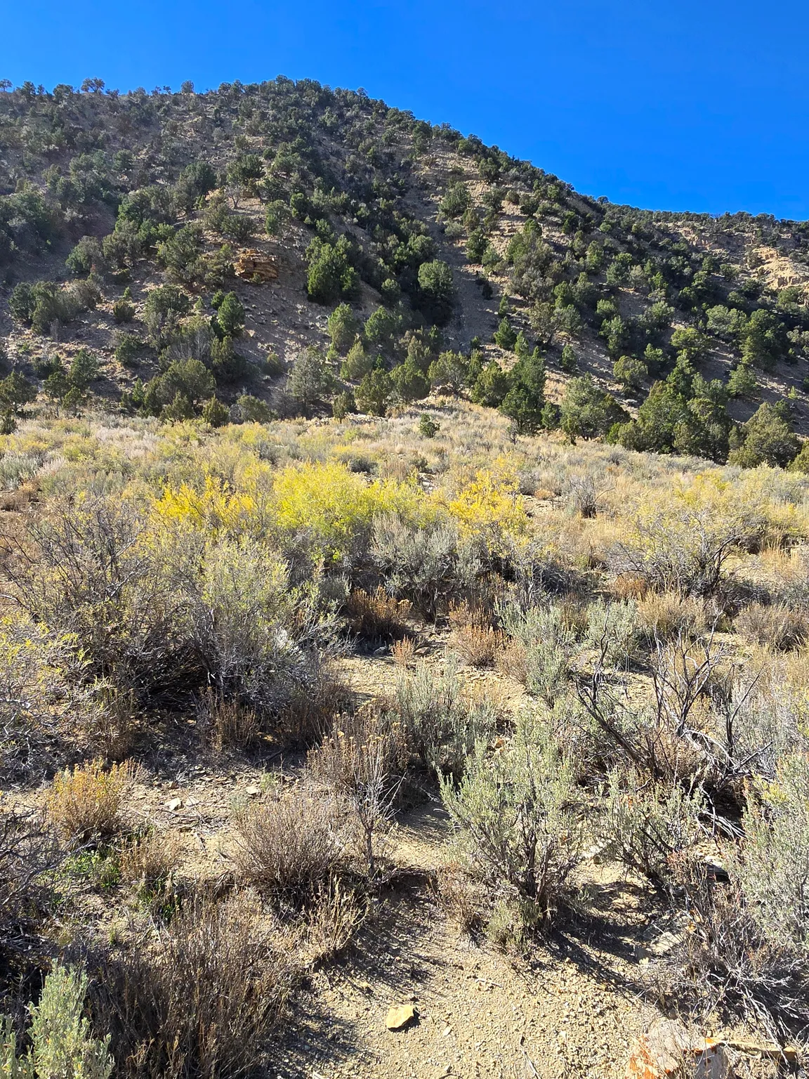 View of mountain backdrop