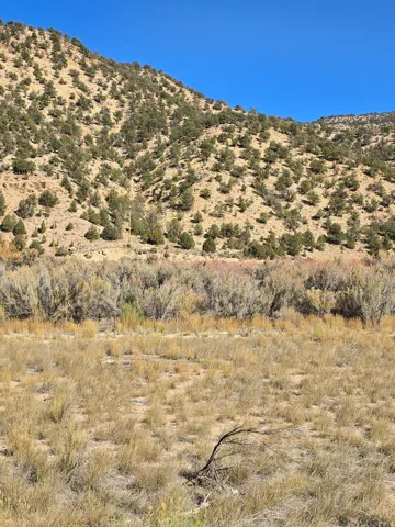 View of mountain background