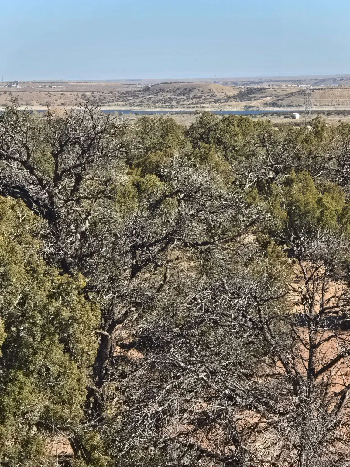 Aerial view of property and surrounding area