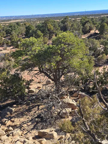 View of property location