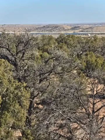 Aerial view of property and surrounding area