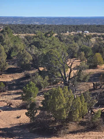 Aerial overview of property's location with a forest