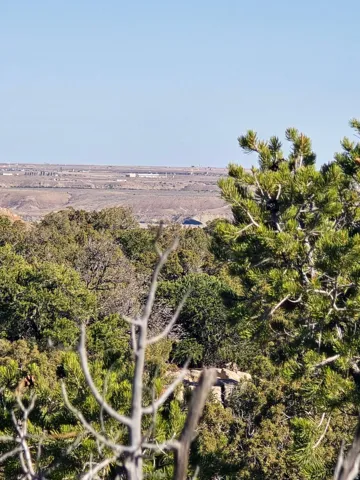 Aerial view of property's location