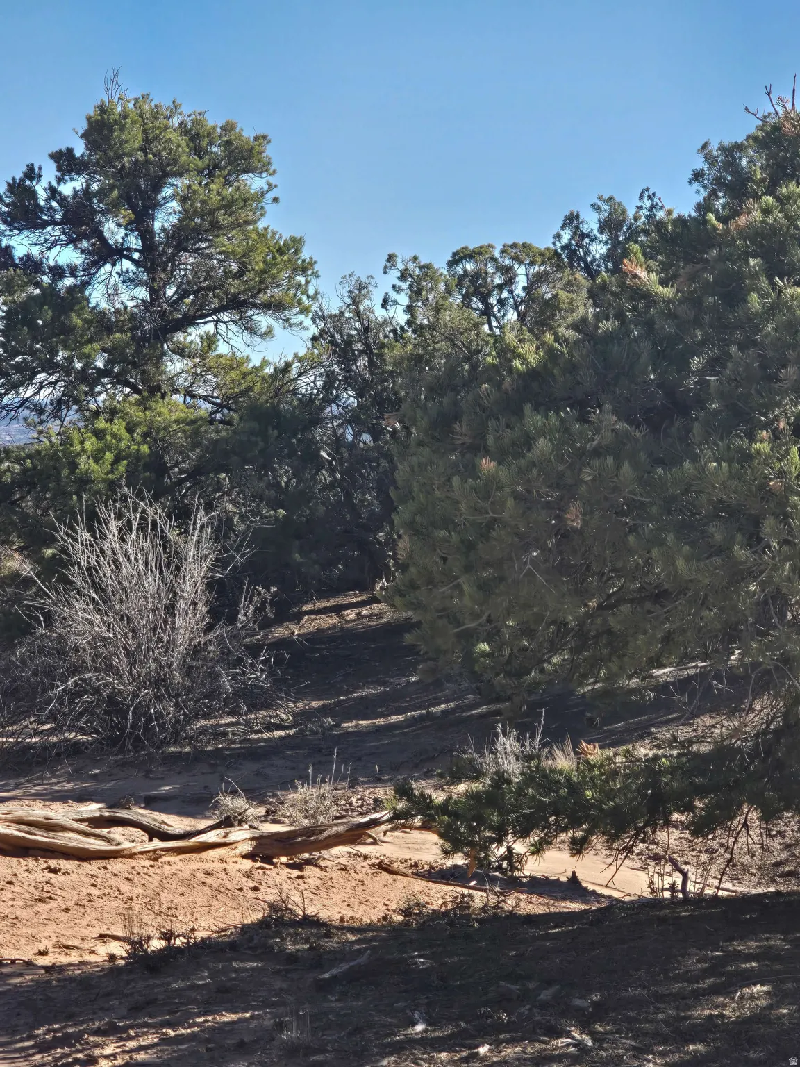 View of undeveloped land