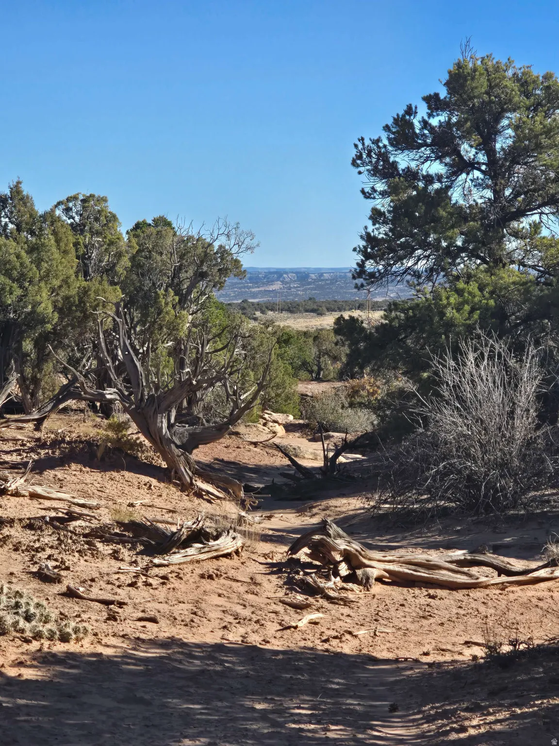 View of mountain backdrop