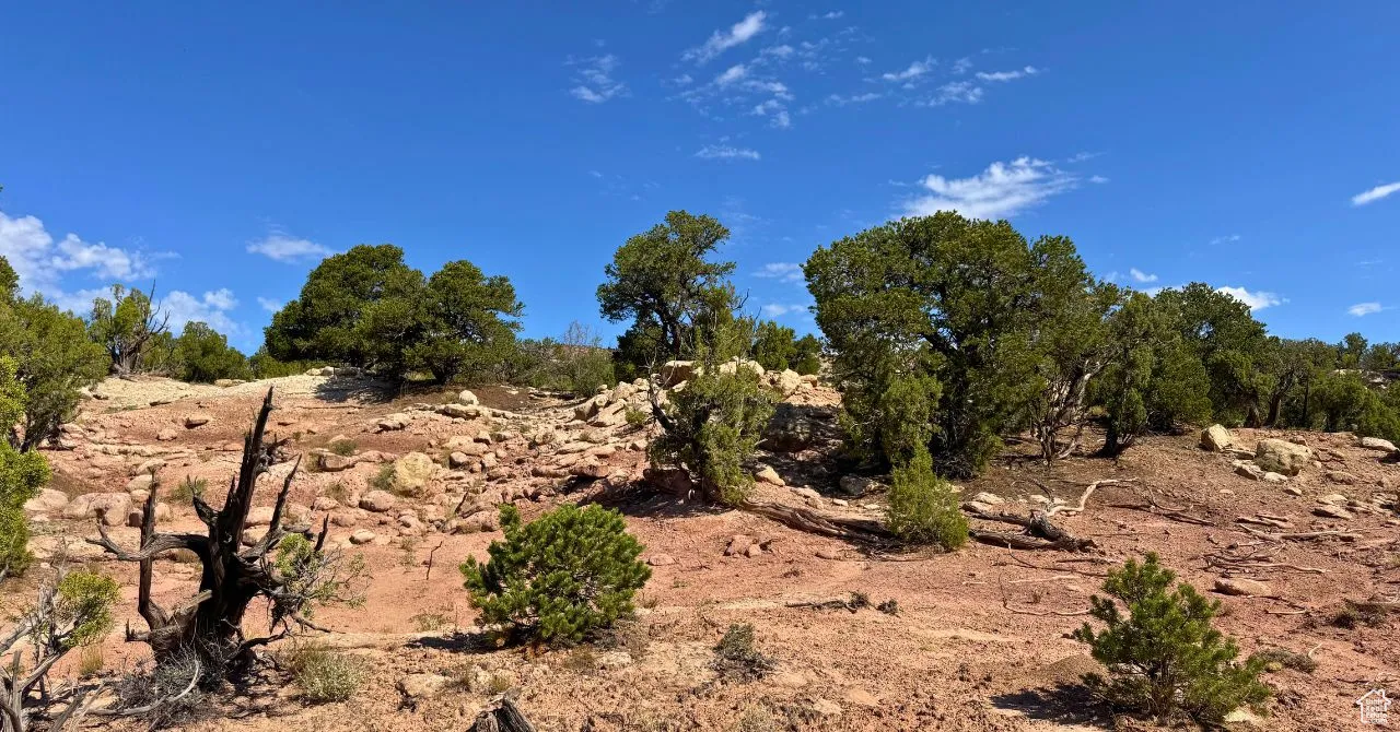 View of nature