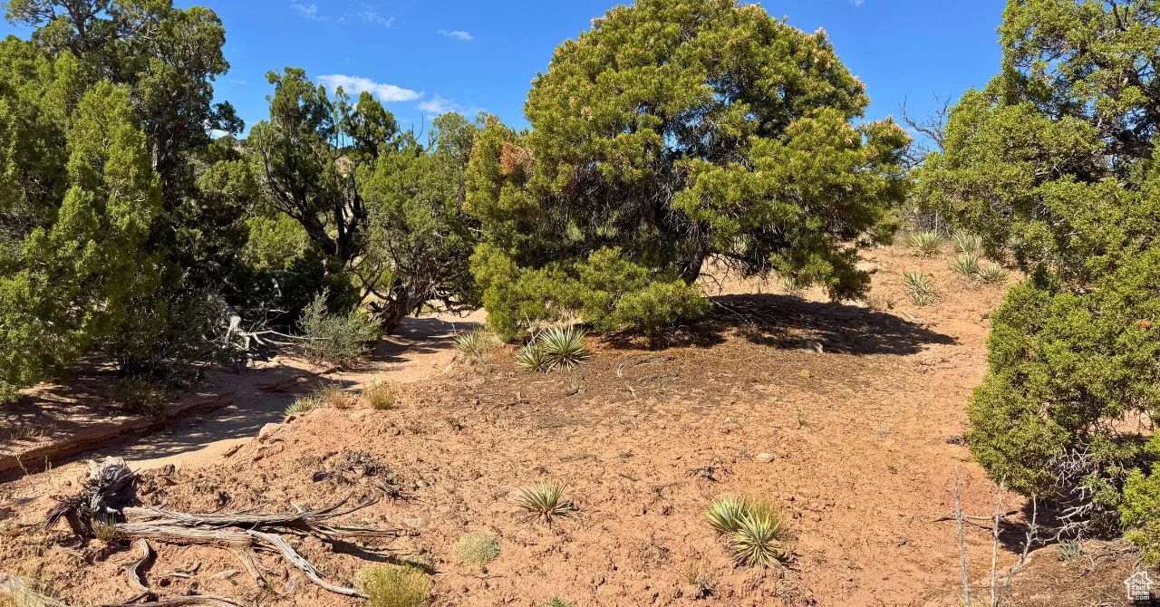 View of undeveloped land