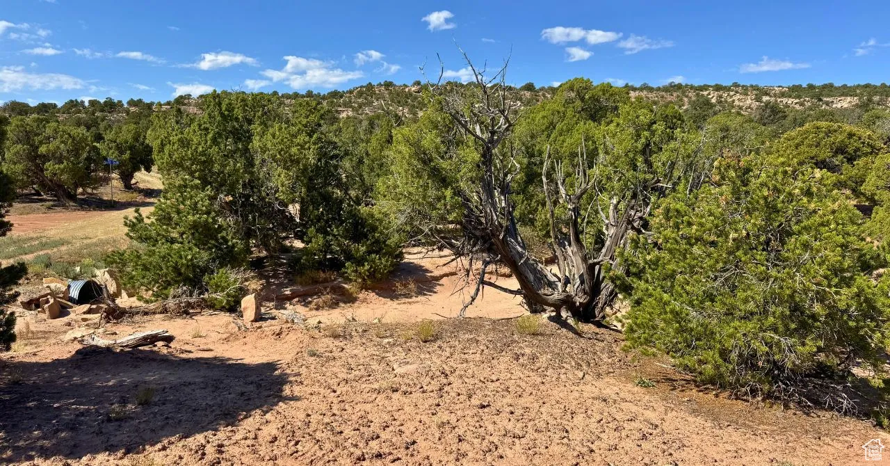 View of nature