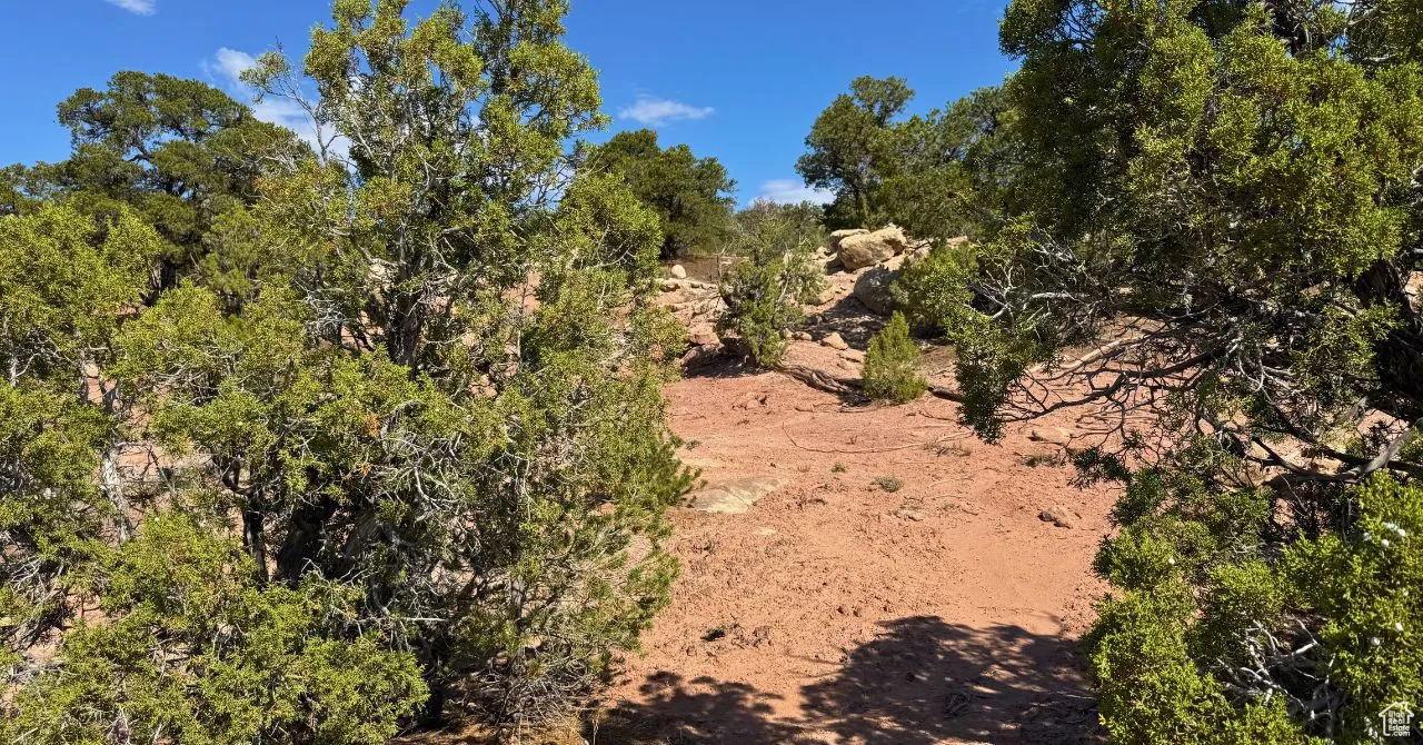 View of undeveloped land