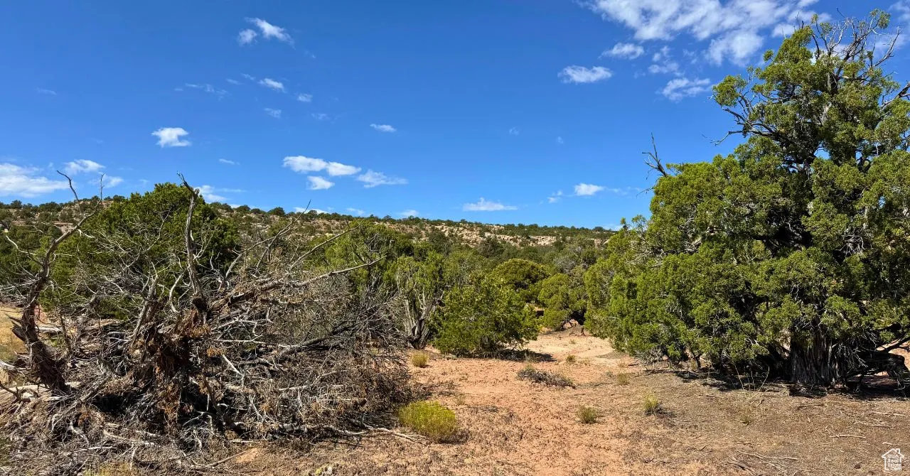 View of undeveloped land
