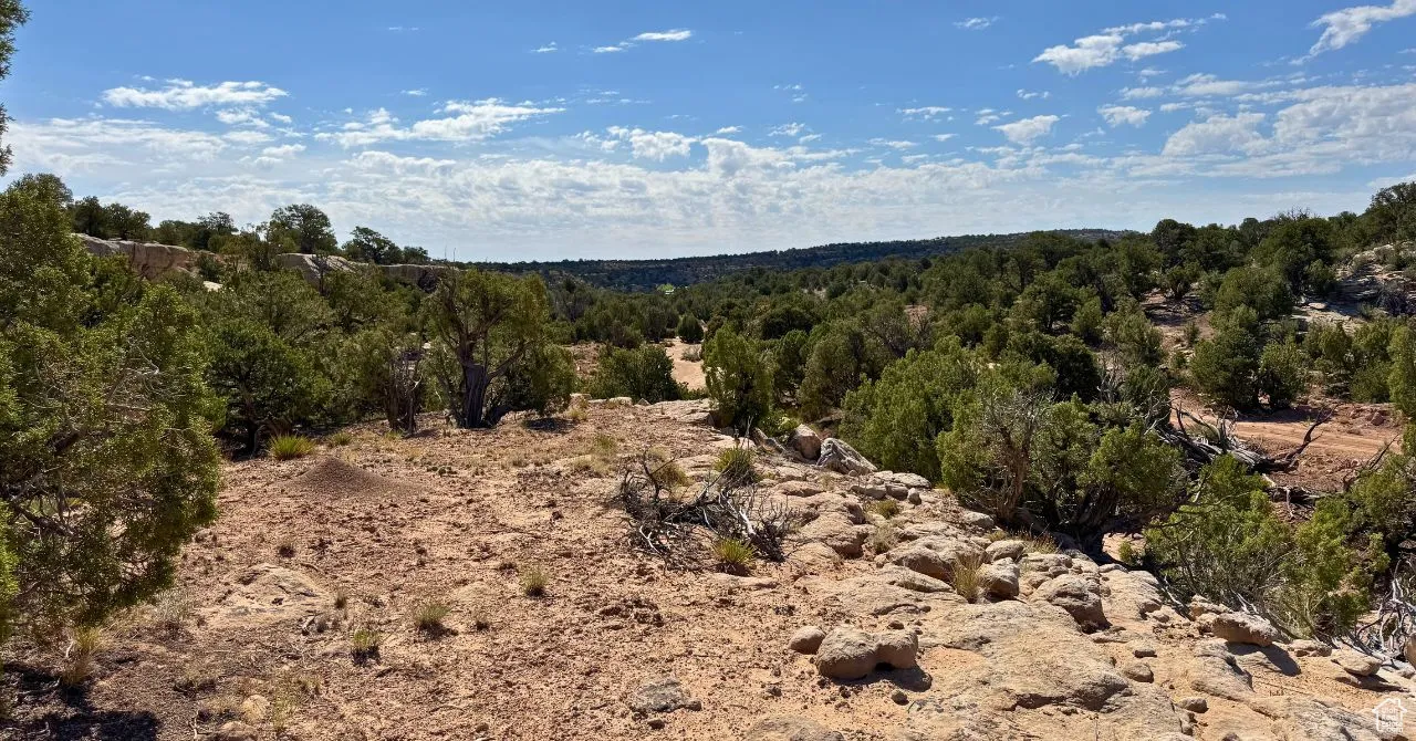 View of tree filled area